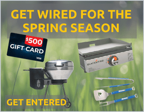 Get Wired for Spring